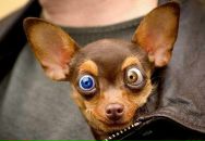 Юрій Паламарчук фотография #19 (источник - https://vk.com/id16889205)