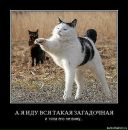 Иван Голубев фотография #5 (источник - https://vk.com/id5950893)