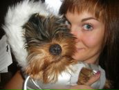 Фотография Иванов Максим