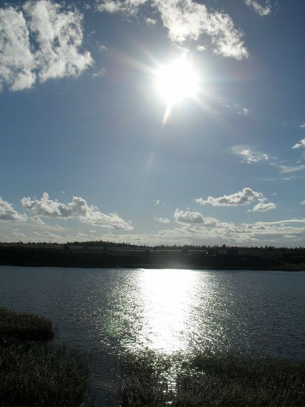 Дмитрий Васильев фотография #19