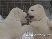 Діма Нікітін фотография #49 (источник - https://vk.com/id38752740)