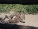 Сергій Кішканьов фотография #36 (источник - https://vk.com/id32046907)