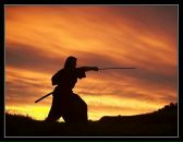 Дмитрий Воробьев фотография #39 (источник - https://vk.com/id1633202)