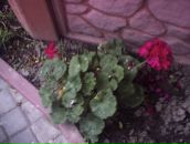 Сергій Іванюк фотография #4 (источник - https://vk.com/id87757685)