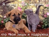 Віра Зененкова фотография #31 (источник - https://vk.com/id108676396)