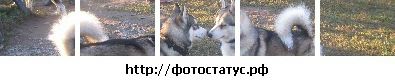 Бодя Кінащук фотография #47 (источник - https://vk.com/id136913338)