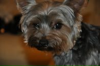 Виктор Андросов фотография #12 (источник - https://vk.com/id1914610)