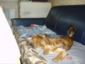 Иван Андреев фотография #30 (источник - https://vk.com/id2534545)