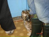 Иван Андреев фотография #25 (источник - https://vk.com/id2534545)