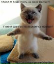 Вадім Романюк фотография #49 (источник - https://vk.com/id146365668)