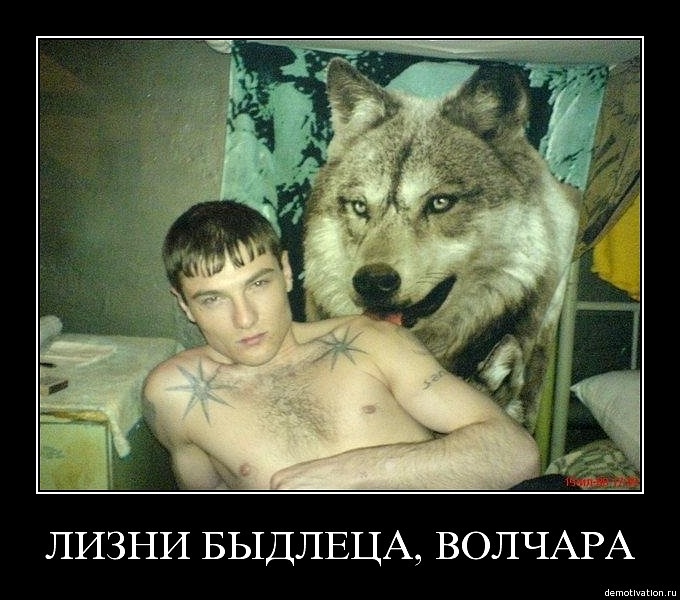 Женя Давиденко фотография #34