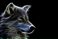 Фотография Князева Дмитрия