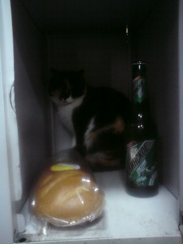 Сергей Табунов фотография #23