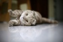 Евгений Червоный фотография #15 (источник - https://vk.com/id103169405)
