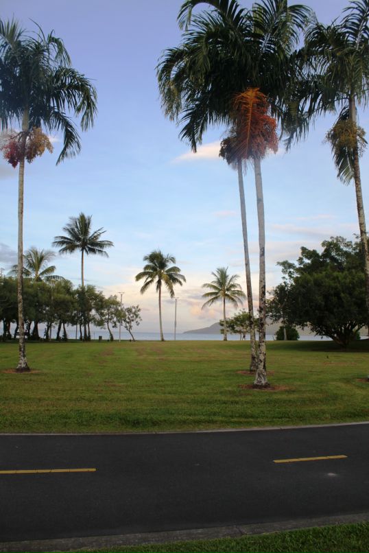 Дмитрий Венгерцев фотография #29