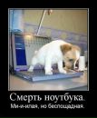 Віталік Скопик фотография #18 (источник - https://vk.com/id27872894)