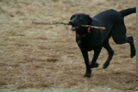 Вова Юрочкін фотография #24 (источник - https://vk.com/id15084244)