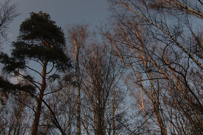 Лёха Int фотография #5