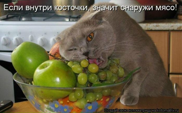 Дмитрий Божко фото №14