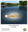 Вова Матійчик фотография #3 (источник - https://vk.com/id142131818)