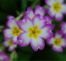 Фотография Стальмаковой Татьяны