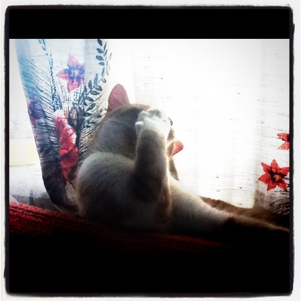 Olena Sinitsyna фотография #37