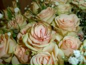 Фотография Жбановой Анны