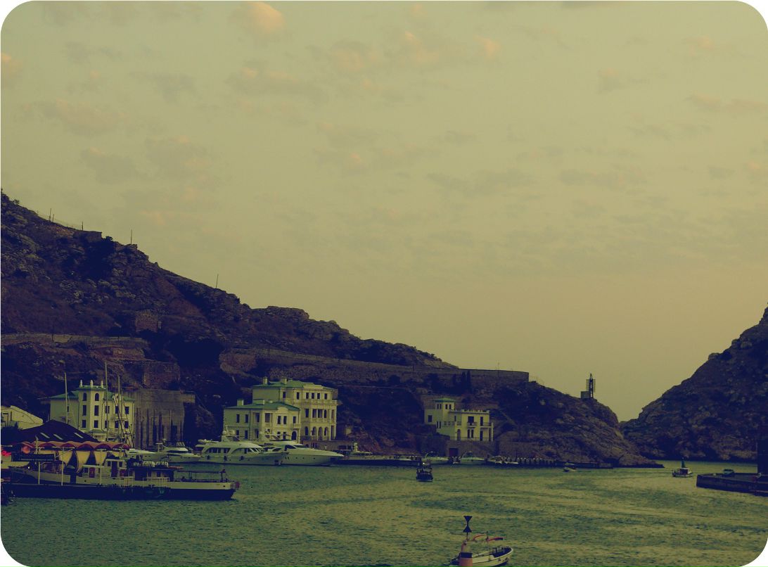 Дмитрий Додон фотография #19