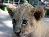 Фотография Богодист Анны