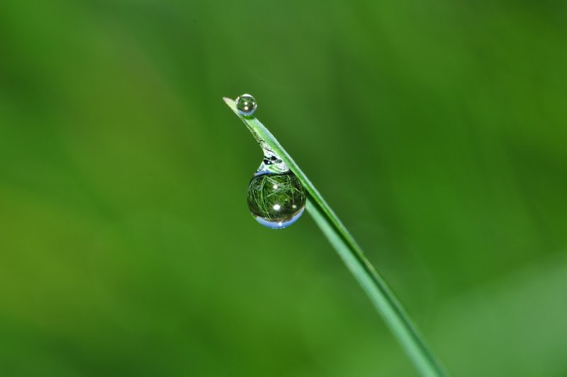 Тимур Петров фотография #19