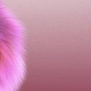 Олеся Вуйців фотография #6 (источник - https://vk.com/id74029763)