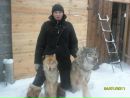 Фотография Анисимова Александр(шаман)