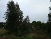 Оля Порадня фотография #36 (источник - https://vk.com/id78343014)