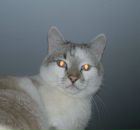 Фотография Сахарова Константина