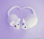 Фотография Гаяновой Альбины