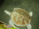 Ярослав Ковалів фотография #24 (источник - https://vk.com/id20820751)
