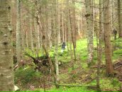 Федя Поліщук фотография #39 (источник - https://vk.com/id31105437)