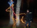 Віка Приступа фотография #2 (источник - https://vk.com/id162439944)