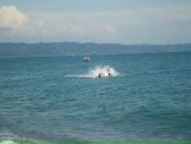 Дмитрий Степаненко фотография #4 (источник - https://vk.com/id19494792)