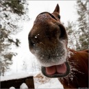 Саша Ростімов фотография #2 (источник - https://vk.com/id135441834)