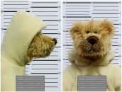 Фотография Пекшева Дмитрия