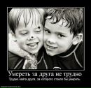 Настя Підгородня фотография #7 (источник - https://vk.com/id59033925)