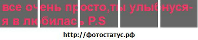 Яна Городниченко фотография #1