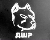 Фотография Манца Леонида