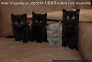 Таня Трубіна фотография #30 (источник - https://vk.com/id152375131)