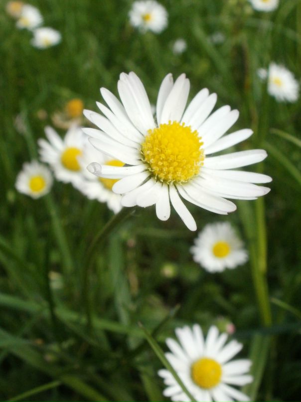 Анна Олейник фотография #13