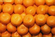 Іра Кузь фотография #6 (источник - https://vk.com/id134585172)