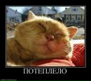 Фотография Чебаевского Евгения