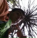 Фотография Farukshin Alex