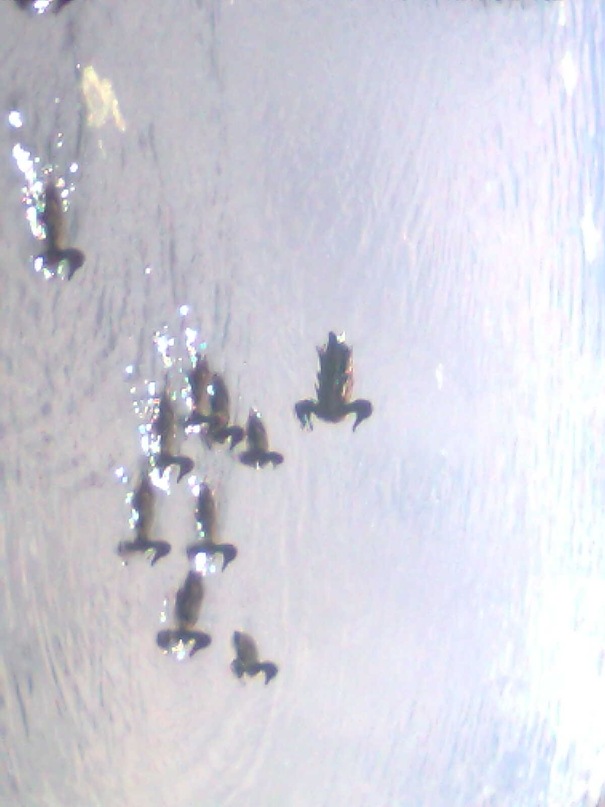 Андрей Колчанов фотография #27